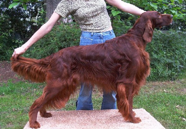 Phil. ���� 2003. ��������